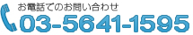 お電話でのお問い合わせは03-5641-1595までお掛けください。