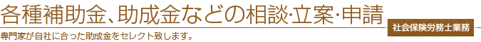 各種補助金、助成金などの相談・立案・申請